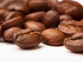 Giá cà phê tại các tỉnh Tây Nguyên giảm 300 nghìn đồng/tấn