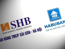 NHNN đã chấp thuận chủ trương cho Habubank sáp nhập vào SHB