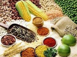 Dự trữ ngũ cốc Ấn Độ tăng lên mức kỷ lục niên vụ 2011-2012