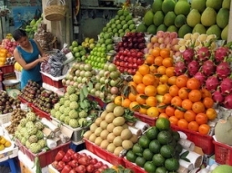 Trung Quốc chiếm 55% thị trường trái cây nhập khẩu vào Indonesia