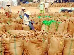 FAO: Việt Nam vẫn là nhà xuất khẩu gạo lớn thứ 2 thế giới năm 2012