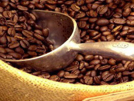Thái Hòa - Từ công ty xuất khẩu cà phê hàng đầu đến nguy cơ bị phá sản