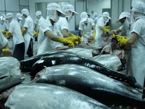 Cá ngừ Việt Nam hướng đến thị trường Trung Đông