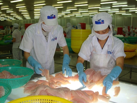 Mỹ cân nhắc bỏ kiểm tra cá da trơn Việt Nam