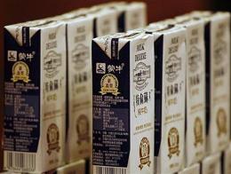 Sữa Trung Quốc dần mất thị trường nội địa do vấn đề an toàn thực phẩm