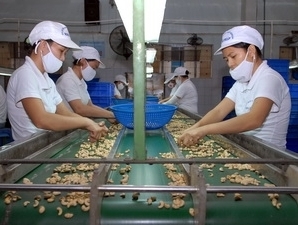 Tập trung tháo gỡ khó khăn cho xuất khẩu nông sản Việt Nam