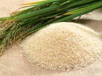 Xuất khẩu gạo đang hướng đến thị trường Trung Quốc