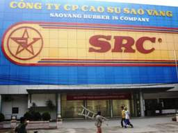 SRC chưa thông qua tờ trình xây trung tâm thương mại 231 Nguyễn Trãi