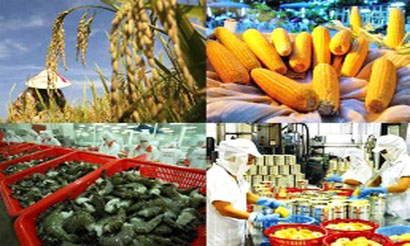 Xuất khẩu nông, lâm, thủy sản đạt 13,6 tỷ USD
