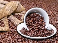 Xuất khẩu cà phê 6 tháng đầu năm đạt 2,3 tỷ USD