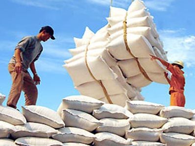 Lượng gạo xuất khẩu Việt Nam giảm hơn 15% cùng kỳ