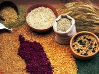 Nhập khẩu ngũ cốc của Bangladesh giảm mạnh