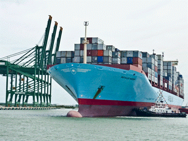 Chưa thực hiện dự án cảng container quốc tế Vũng Tàu