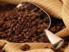 Giá cà phê trong nước tăng 400 nghìn đồng/tấn