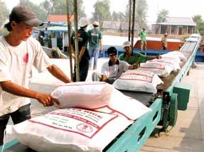 Xuất khẩu gạo thơm sẽ tăng hơn 150.000 tấn