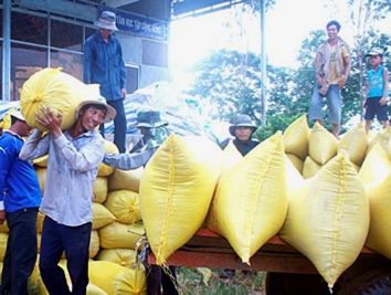 Philippines lên kế hoạch tăng giá thu mua lúa