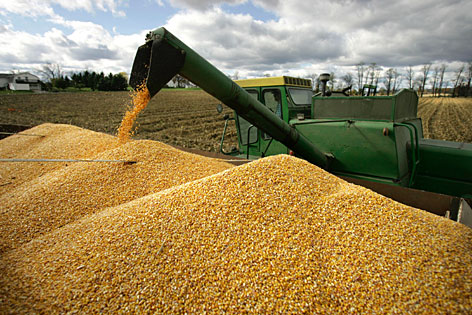 Giá nông sản liên tục lập kỷ lục do hạn hán tại Mỹ