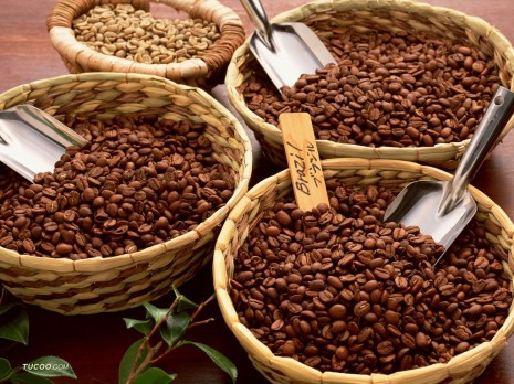 Giá cà phê trong nước giảm 100 nghìn đồng/tấn