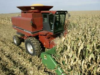Giá nông sản tiếp tục giảm do dự báo mưa tại Mỹ