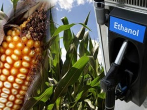 Liên Hợp Quốc kêu gọi Mỹ giảm sản xuất ethanol ngăn khủng hoảng lương thực