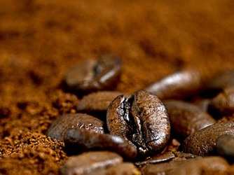 Giá cà phê trong nước tăng 300 nghìn đồng/tấn