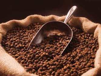 Giá cà phê trong nước tăng 200 nghìn đồng/tấn