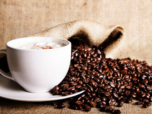 Giá cà phê trong nước phục hồi 500 nghìn đồng/tấn