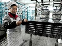 Lợi nhuận ngành công nghiệp Trung Quốc giảm mạnh