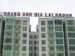 HAG giải trình doanh thu quý II tăng nhưng lợi nhuận giảm