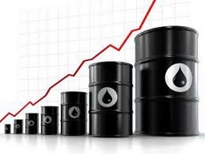 OPEC: Nguồn cung dầu mỏ thế giới vẫn đảm bảo