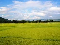 Quy hoạch sử dụng đất tỉnh Ninh Bình đến năm 2020