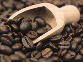 Giá cà phê trong nước giảm 300 nghìn đồng/tấn