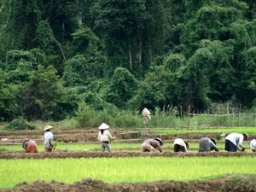 Lào sẽ sớm gia nhập Tổ chức Thương mại Thế giới