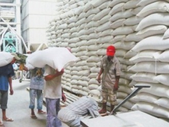 Philippines có thể tự túc lúa gạo vào năm 2013
