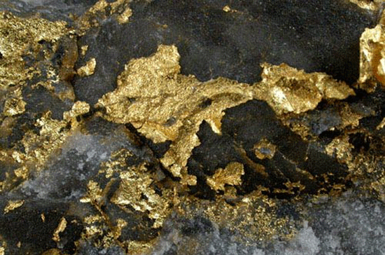 Phát hiện vỉa quặng vàng trữ lượng 30 tấn tại Nhật Bản
