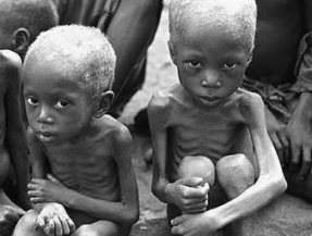 FAO nhận định 1/8 dân số thế giới bị đói