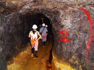 Đóng cửa 4 điểm mỏ vàng tại huyện Tương Dương, Nghệ An