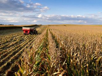 Giá nông sản tăng do lo ngại hạn hán tại Australia