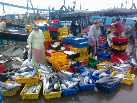 Indonesia hiện nay vẫn phụ thuộc vào nhập khẩu cá
