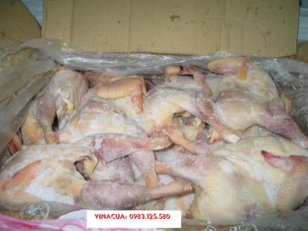 Chi hơn 52 triệu USD nhập khẩu thịt gà 9 tháng đầu năm