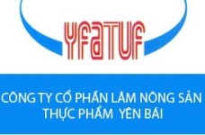 CAP trả cổ tức 2.000 đồng/cổ phiếu đợt 1 năm 2012