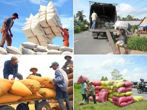 Cơ cấu hàng xuất khẩu thiếu bền vững