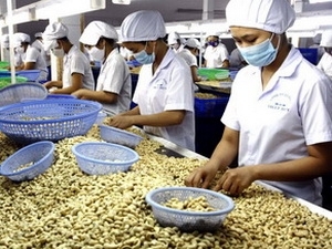Đánh giá tăng trưởng kinh tế Việt Nam năm 2012