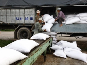 VFA: Xuất khẩu gạo đạt gần 7,5 triệu tấn