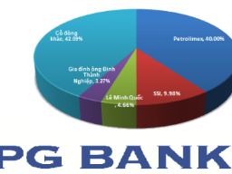 Điểm mặt cổ đông lớn của PGBank