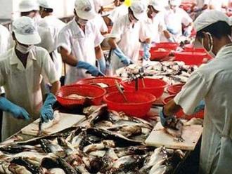 Châu Âu vẫn là thị trường hàng đầu của cá tra Việt Nam