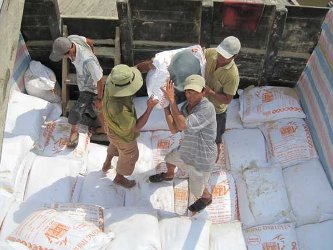 VFA bắt đầu mua tạm trữ 1 triệu tấn gạo từ ngày 20/2