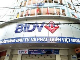 BIDV năm 2012 lãi hợp nhất 2.919 tỷ đồng