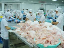 VASEP khẳng định có vận động chính trị để tăng thuế chống bán phá giá cá tra Việt Nam
