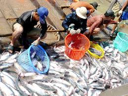 Nhìn lại các lần xem xét chống bán phá giá cá tra, basa Việt Nam vào Mỹ